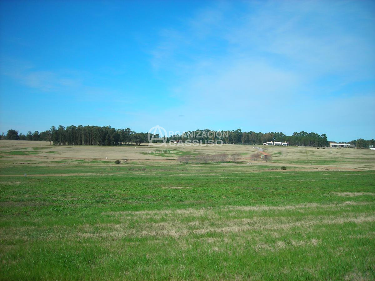 Propiedad - GoPunta - Portal Inmobiliario de Punta del Este - Maldonado