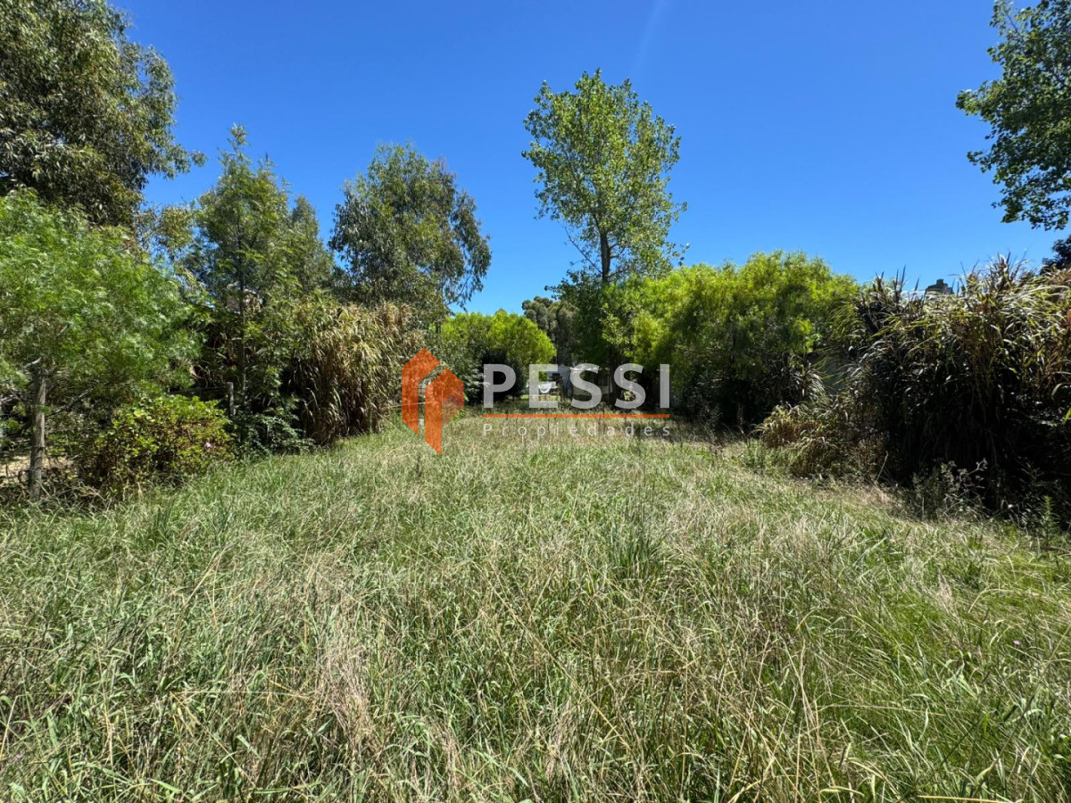 Terreno ID.2529/Venta-terreno-en-San-Luis - Venta terreno en San Luis