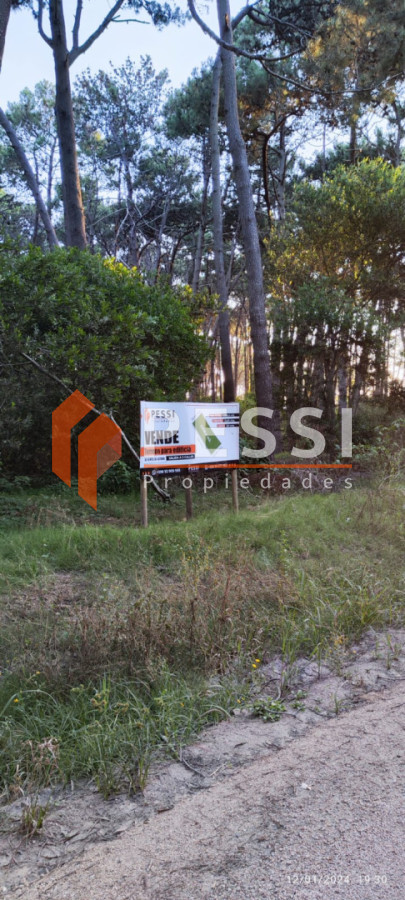 Terreno ID.2327/Venta-de-terreno-en-Punta-Del-Este - Venta de terreno en Punta Del Este