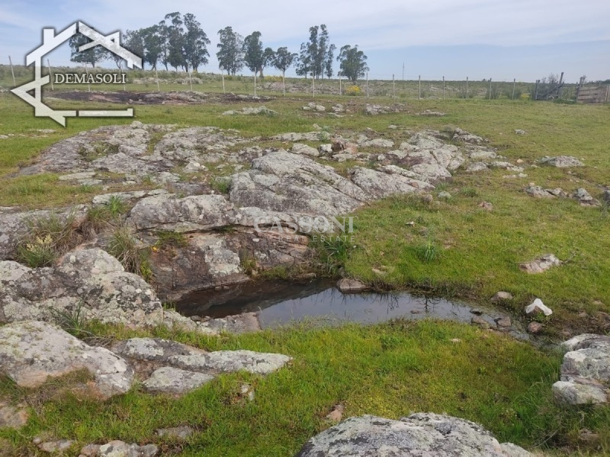 Chacra ID.3498 - 11 has 8000 M2 con casa proximidades Pan de Azúcar