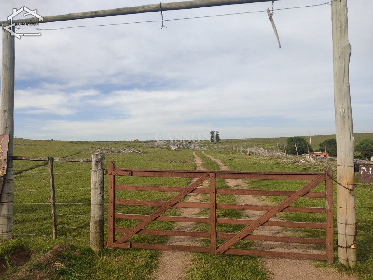 Chacra ID.3498 - 11 has 8000 M2 con casa proximidades Pan de Azúcar