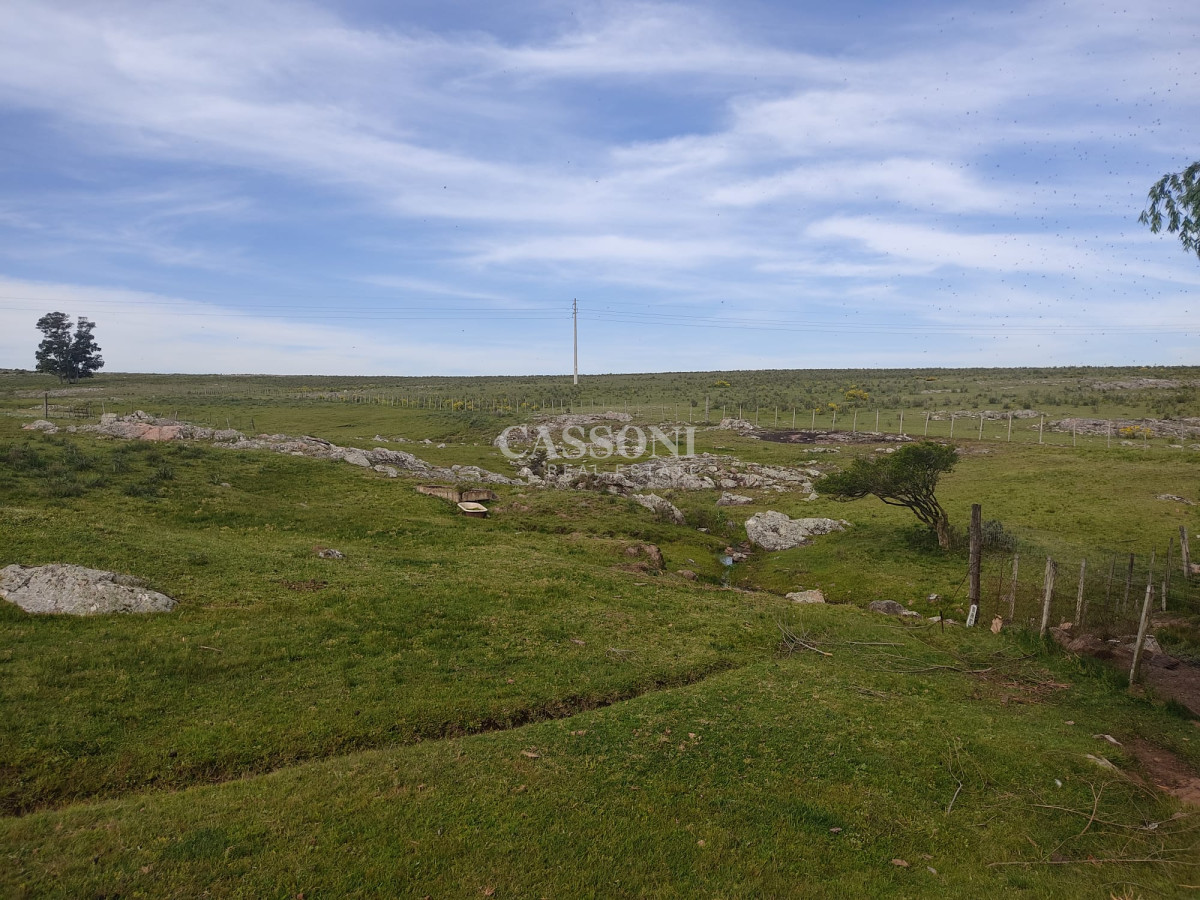 Chacra ID.3498 - 11 has 8000 M2 con casa proximidades Pan de Azúcar