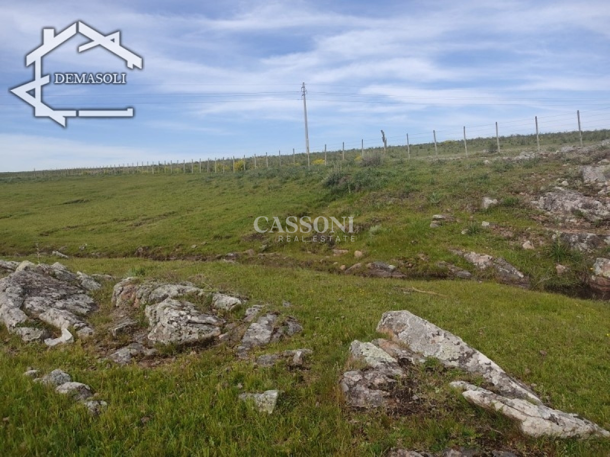 Chacra ID.3498 - 11 has 8000 M2 con casa proximidades Pan de Azúcar