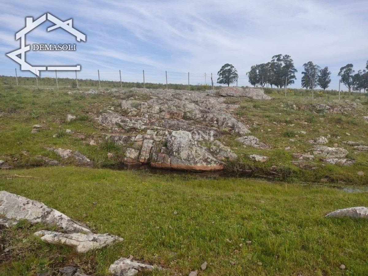 Chacra ID.3498 - 11 has 8000 M2 con casa proximidades Pan de Azúcar