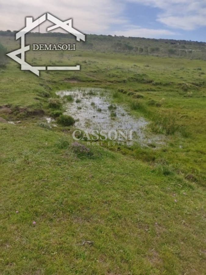 Chacra ID.3498 - 11 has 8000 M2 con casa proximidades Pan de Azúcar