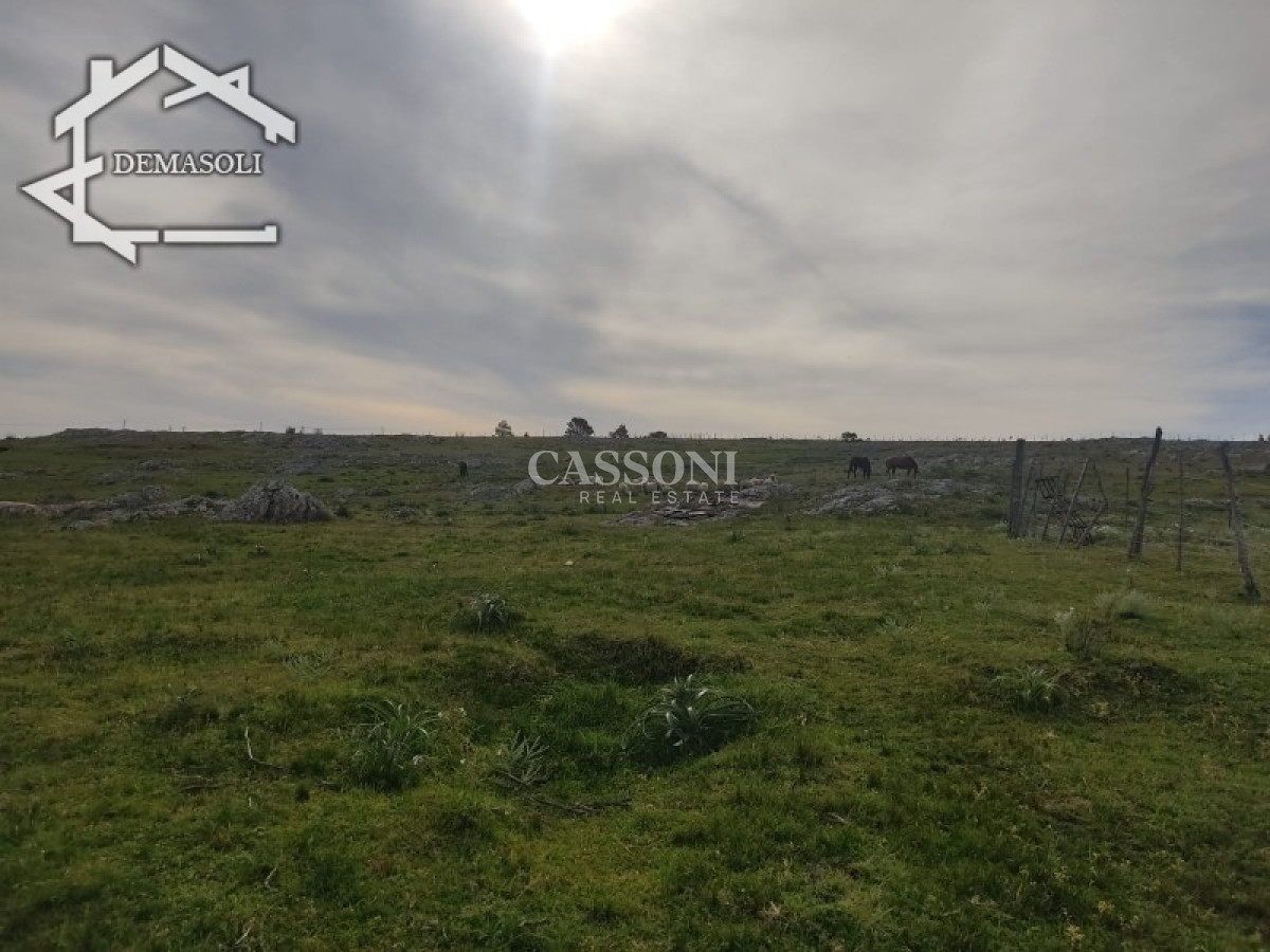 Chacra ID.3498 - 11 has 8000 M2 con casa proximidades Pan de Azúcar