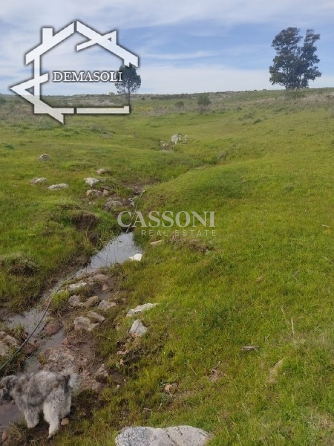 Chacra ID.3498 - 11 has 8000 M2 con casa proximidades Pan de Azúcar