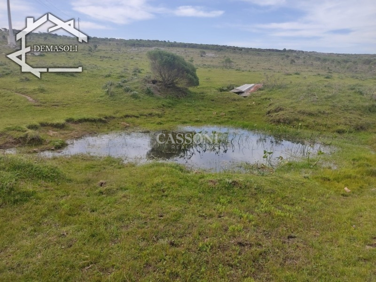 Chacra ID.3498 - 11 has 8000 M2 con casa proximidades Pan de Azúcar