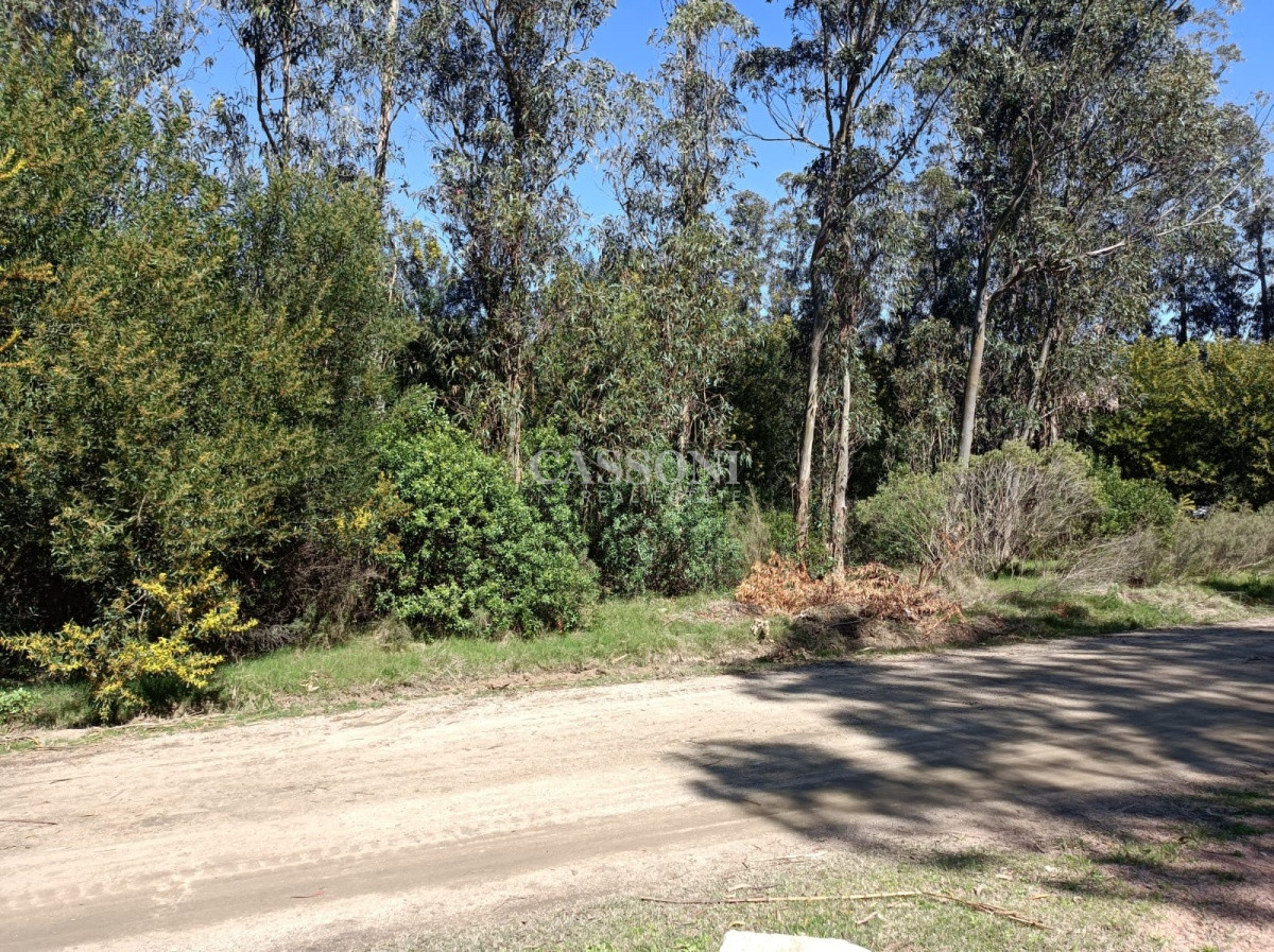 Terreno ID.3672 - Terreno en Piriápolis, Bella Vista