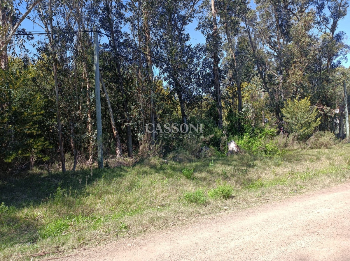 Terreno ID.3672 - Terreno en Piriápolis, Bella Vista