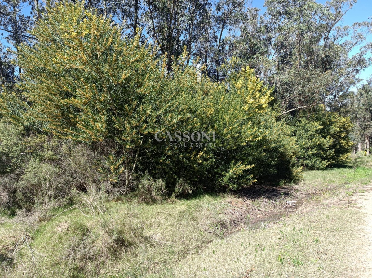 Terreno ID.3672 - Terreno en Piriápolis, Bella Vista