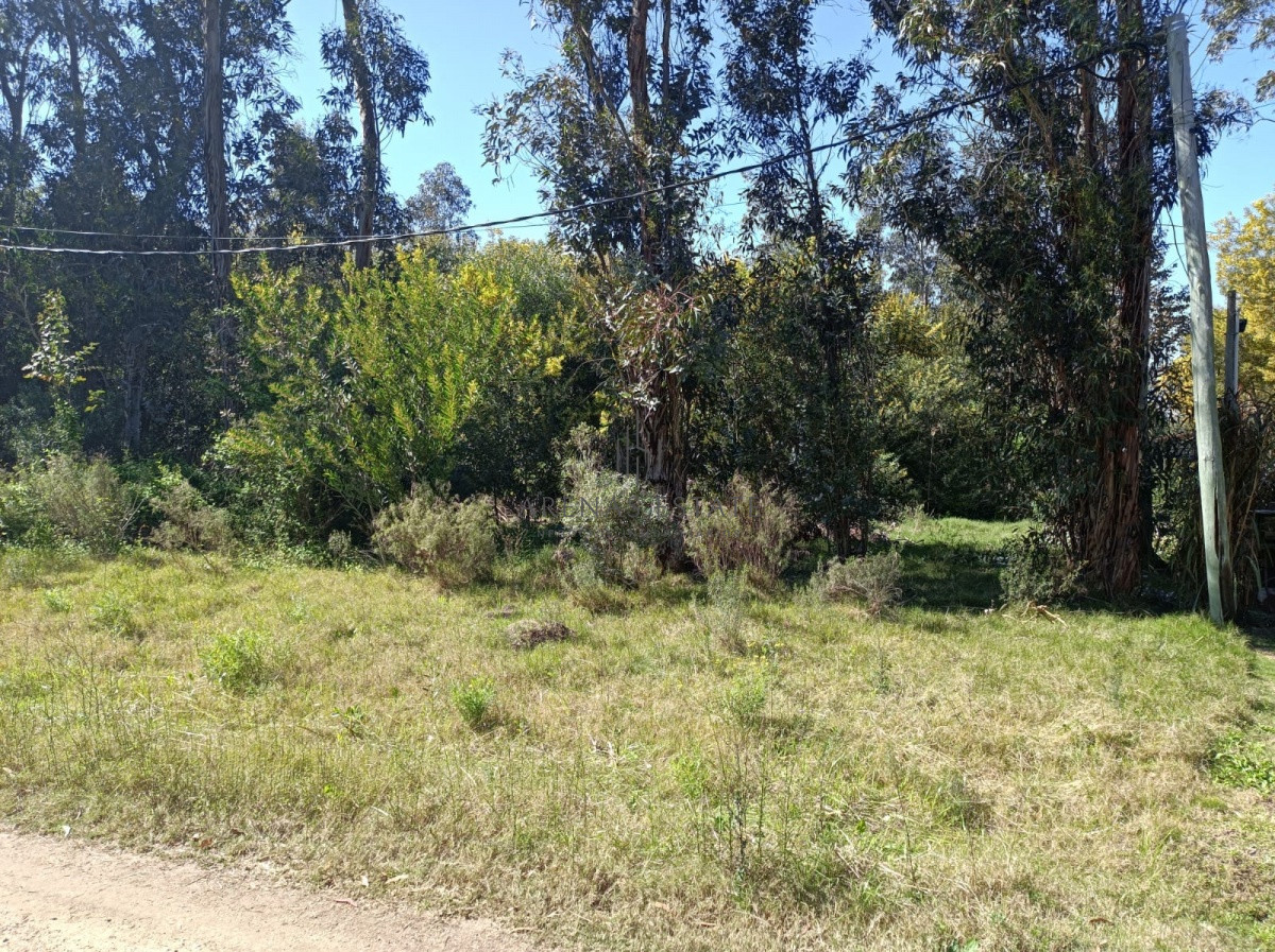 Terreno ID.470 - Terreno en venta en Maldonado 