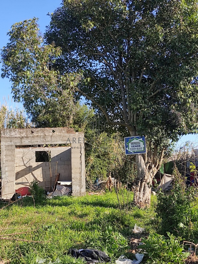 Terreno ID.471 - Terreno San Carlos, excelente ubicación 