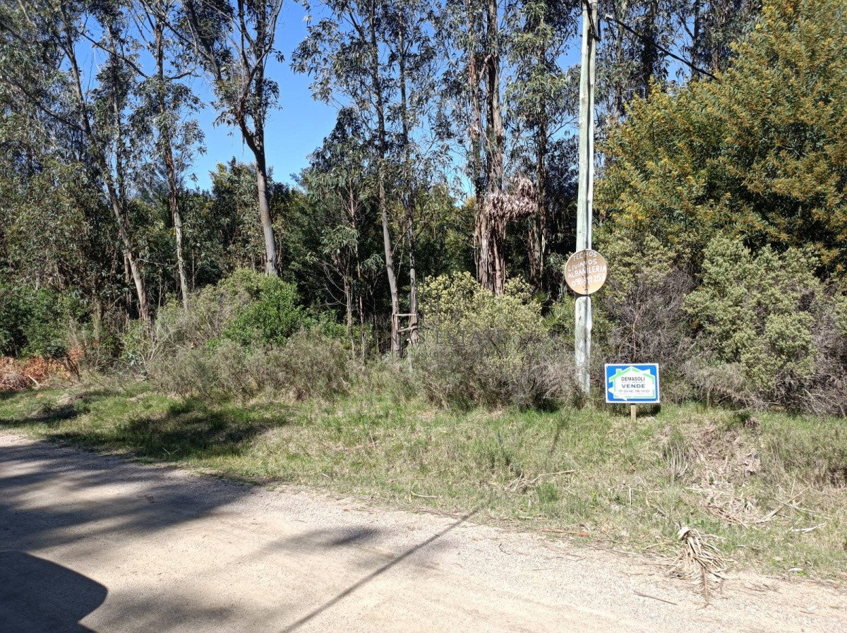 Terreno ID.470 - Terreno en venta en Maldonado 