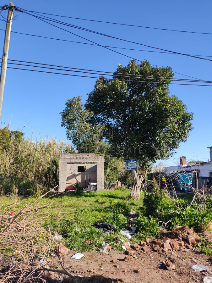 Terreno ID.471 - Terreno San Carlos, excelente ubicación 