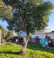 Terreno San Carlos, excelente ubicación