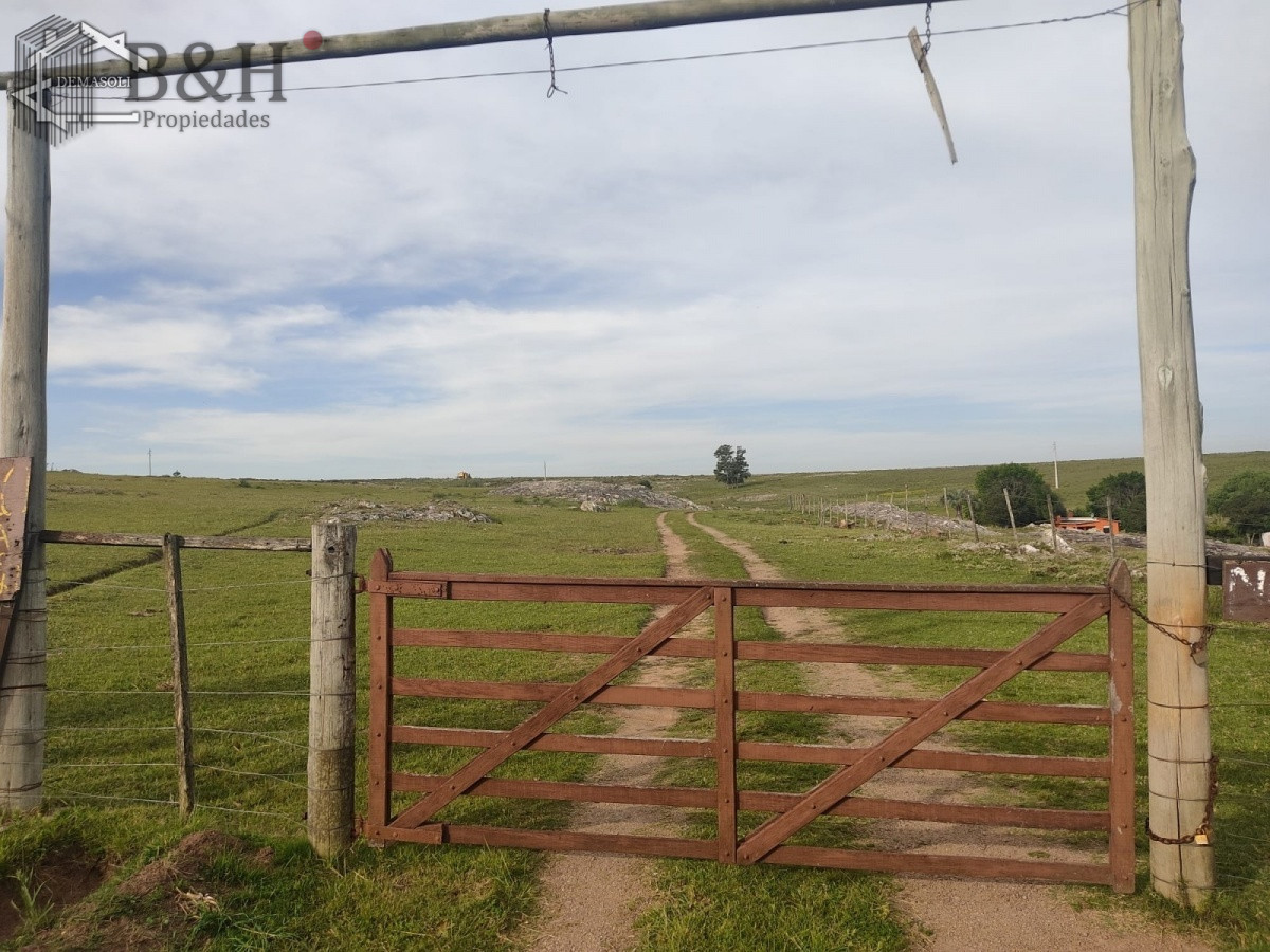 Zona Rural - GoPunta - Portal Inmobiliario de Punta del Este - Maldonado