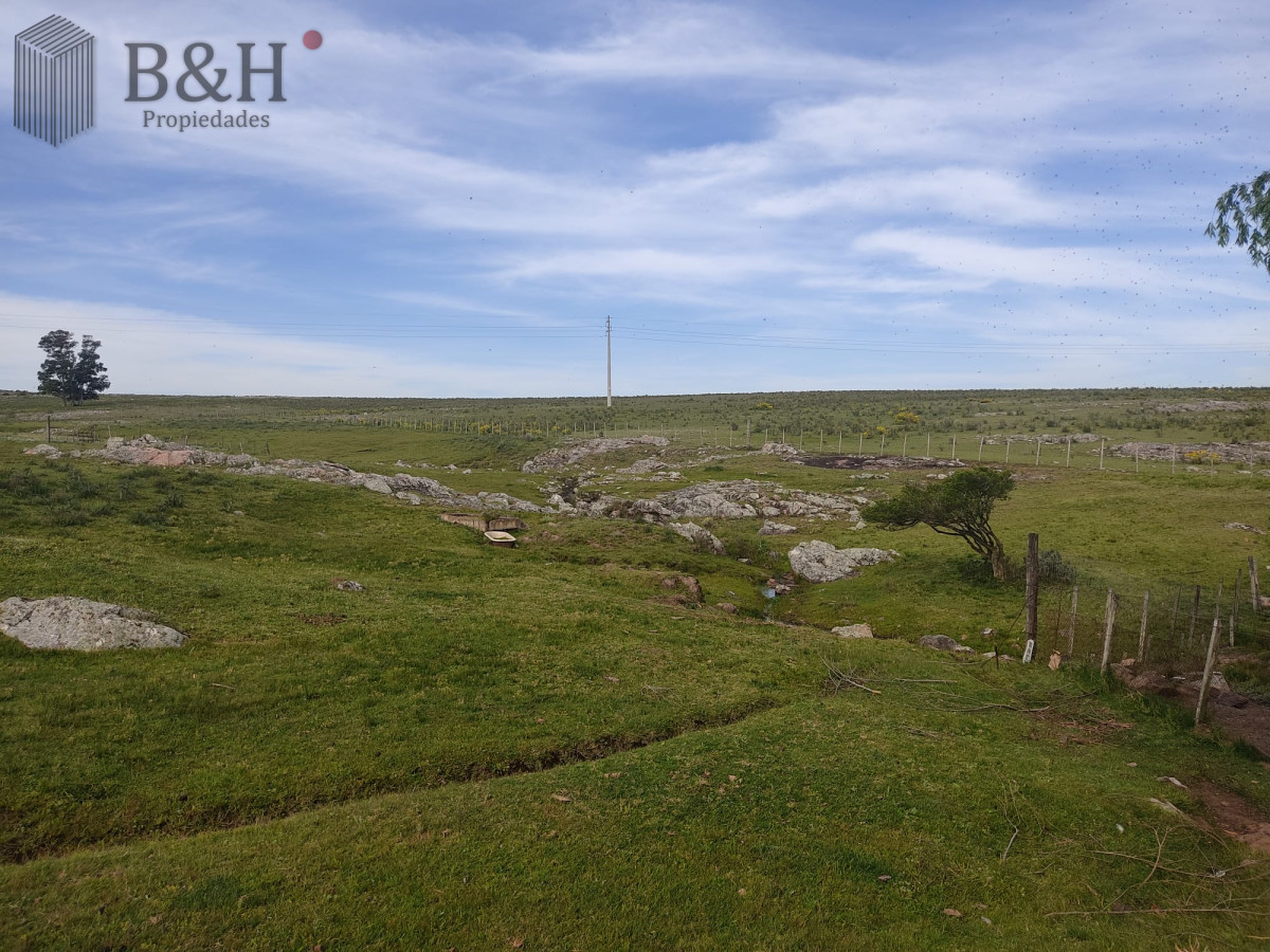 Chacra ID.1314 - 11 has 8000 M2 con casa proximidades Pan de Azúcar