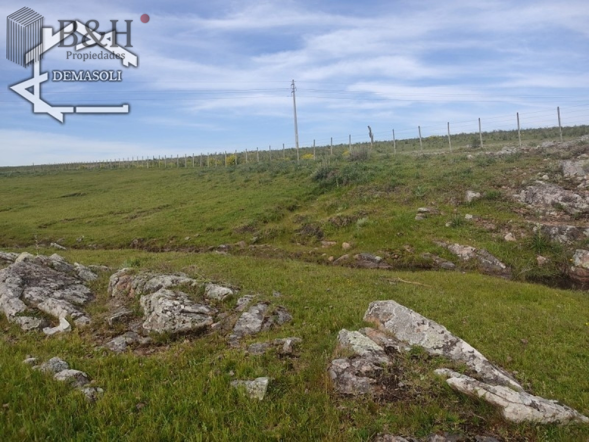Chacra ID.1314 - 11 has 8000 M2 con casa proximidades Pan de Azúcar