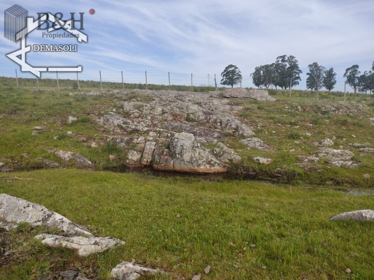 Chacra ID.1314 - 11 has 8000 M2 con casa proximidades Pan de Azúcar