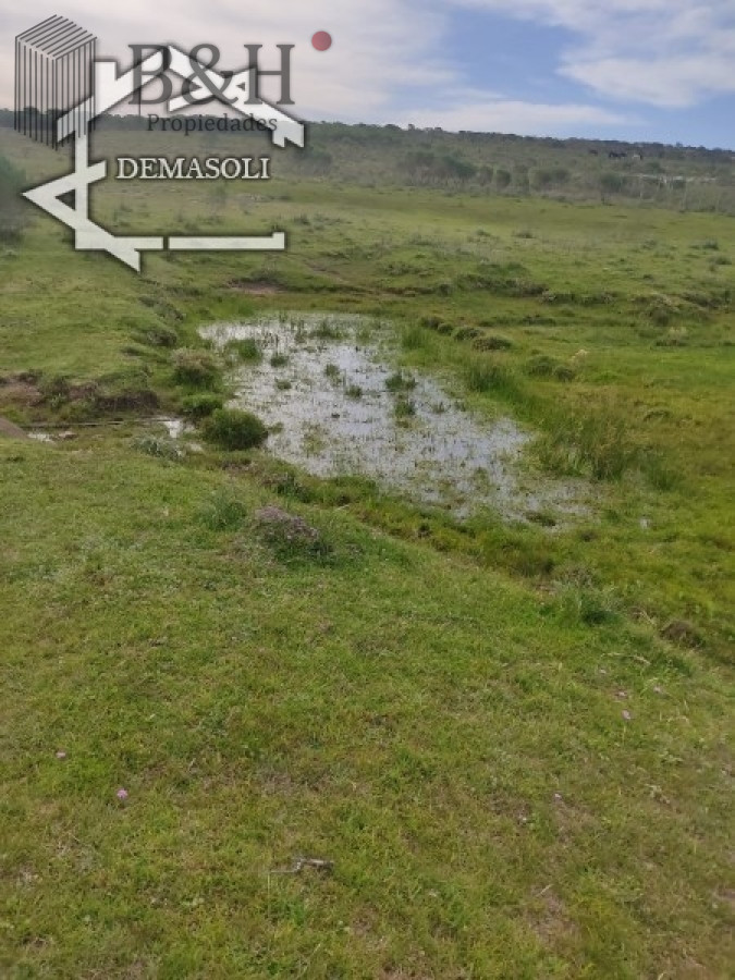 Chacra ID.1314 - 11 has 8000 M2 con casa proximidades Pan de Azúcar