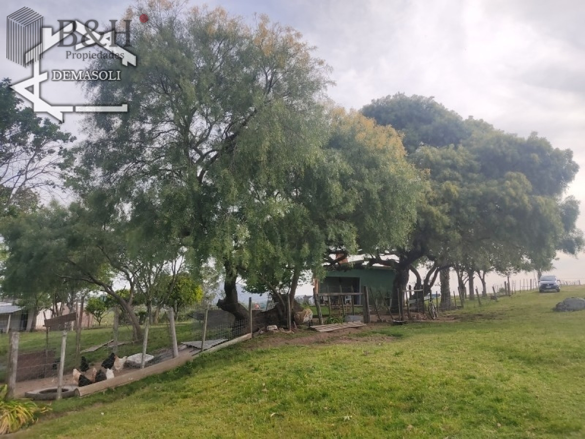 Zona Rural - GoPunta - Portal Inmobiliario de Punta del Este - Maldonado
