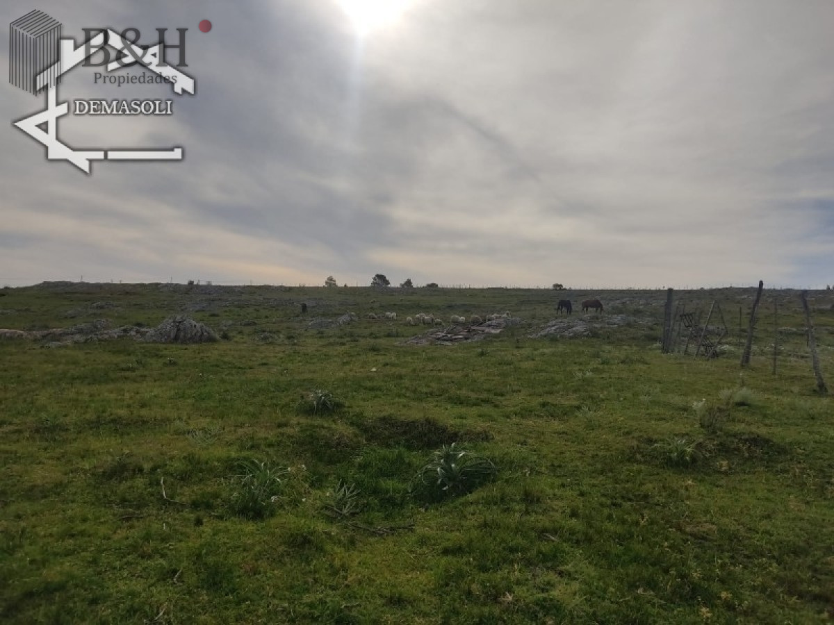 Chacra ID.1314 - 11 has 8000 M2 con casa proximidades Pan de Azúcar