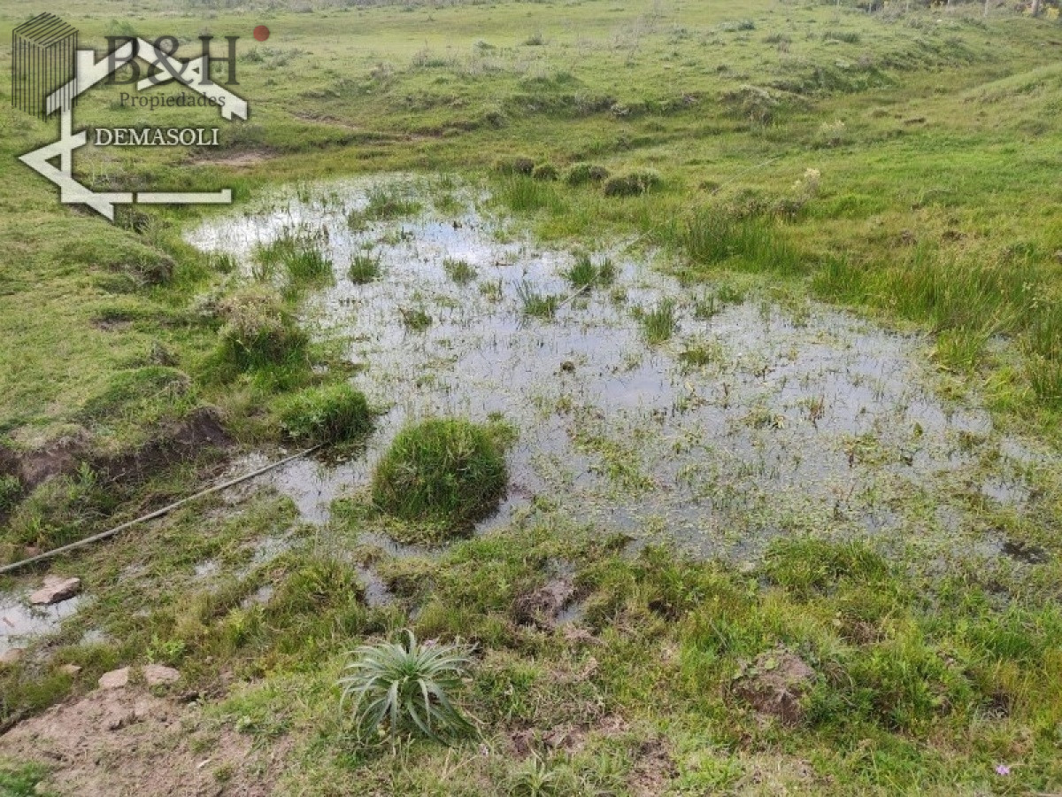 Chacra ID.1314 - 11 has 8000 M2 con casa proximidades Pan de Azúcar