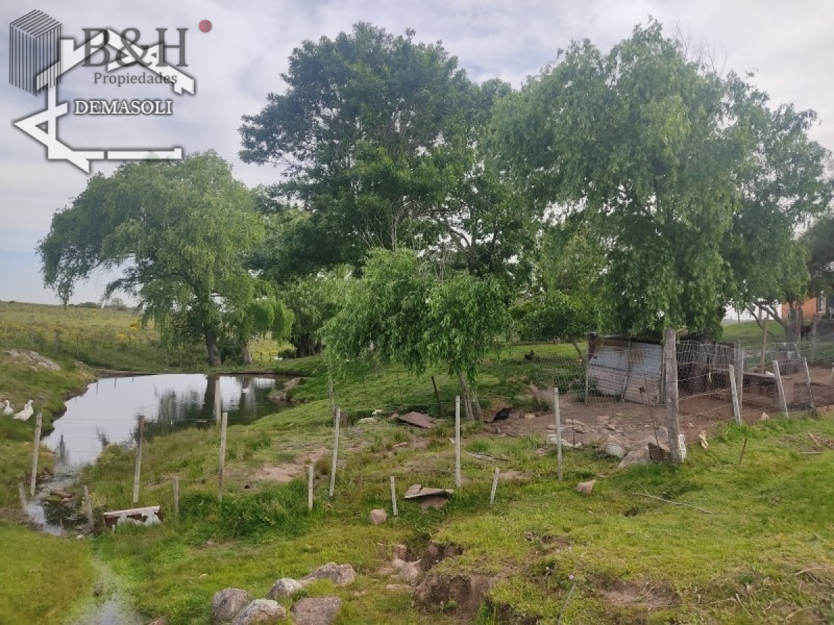 Zona Rural - GoPunta - Portal Inmobiliario de Punta del Este - Maldonado