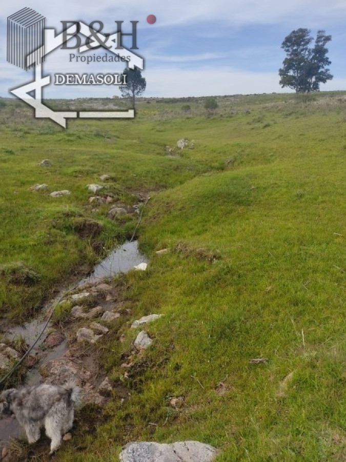 Zona Rural - GoPunta - Portal Inmobiliario de Punta del Este - Maldonado