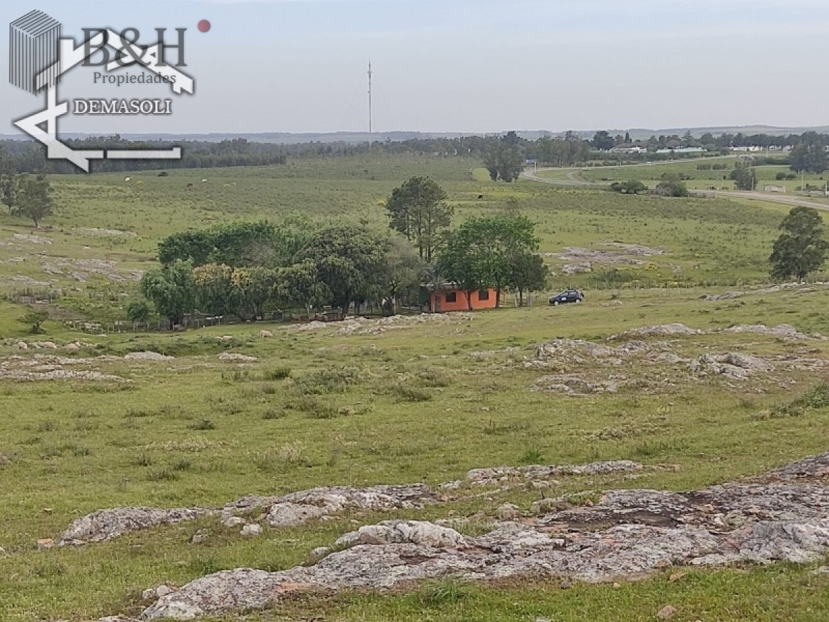 Zona Rural - GoPunta - Portal Inmobiliario de Punta del Este - Maldonado