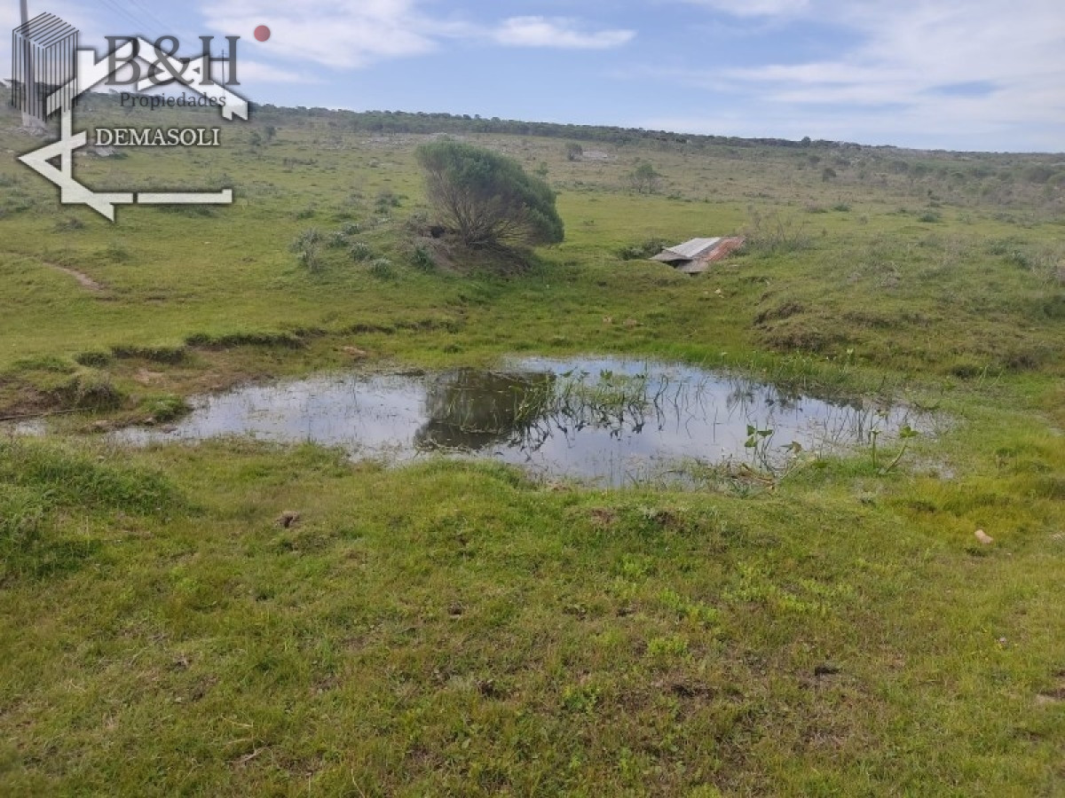 Chacra ID.1314 - 11 has 8000 M2 con casa proximidades Pan de Azúcar