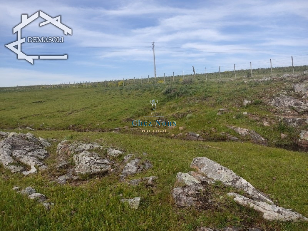Chacra ID.1272 - 11 has 8000 M2 con casa proximidades Pan de Azúcar