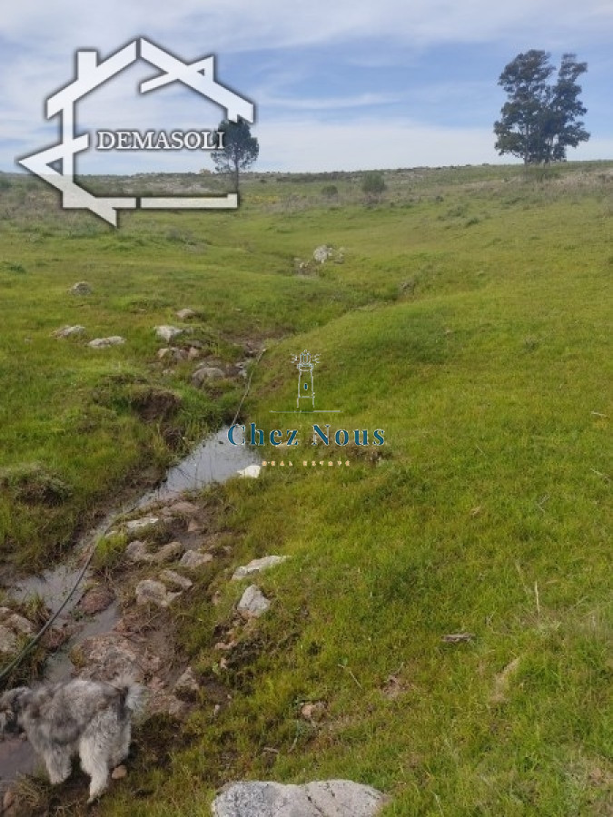 Chacra ID.1272 - 11 has 8000 M2 con casa proximidades Pan de Azúcar