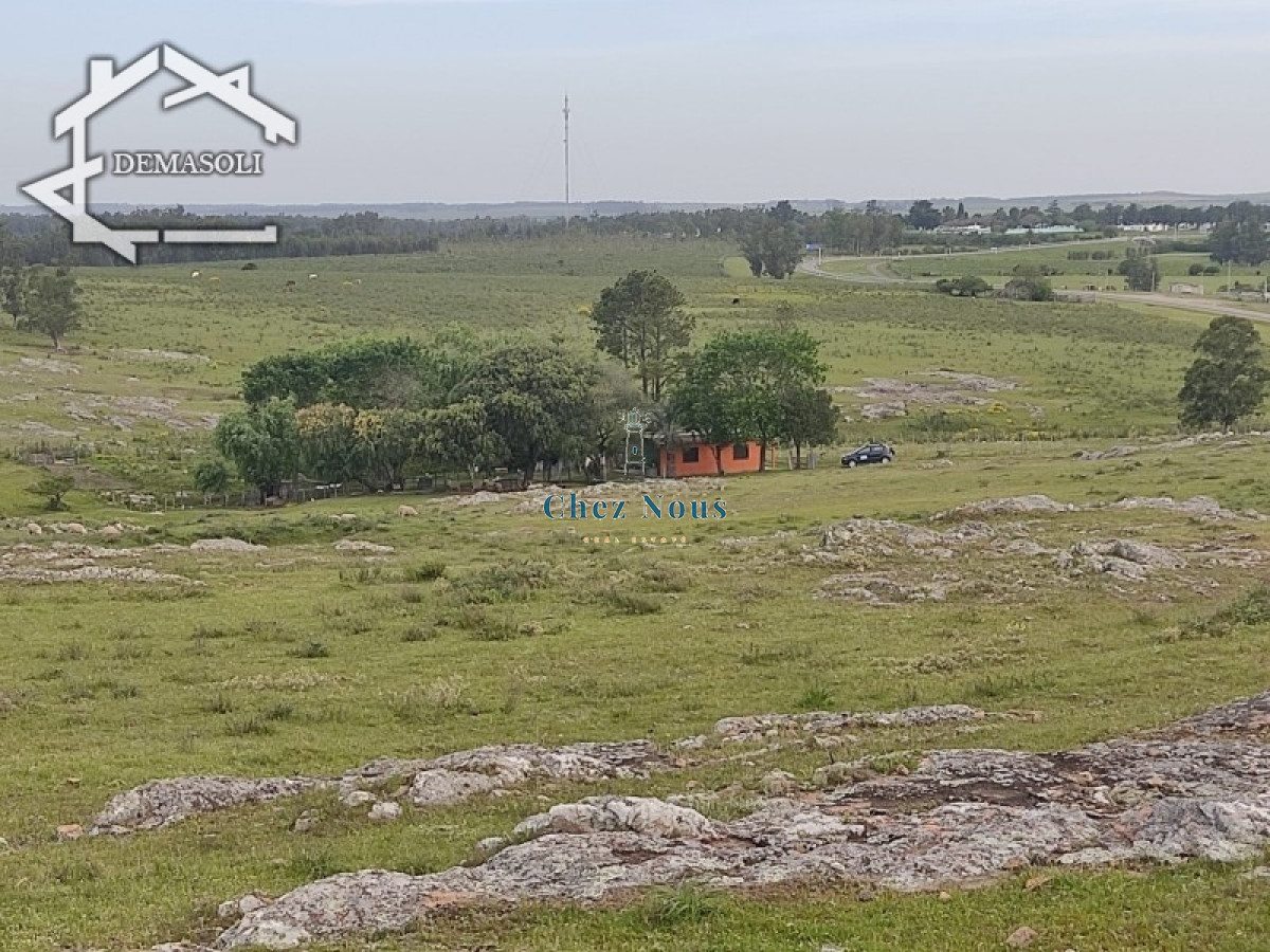 Chacra ID.1272 - 11 has 8000 M2 con casa proximidades Pan de Azúcar