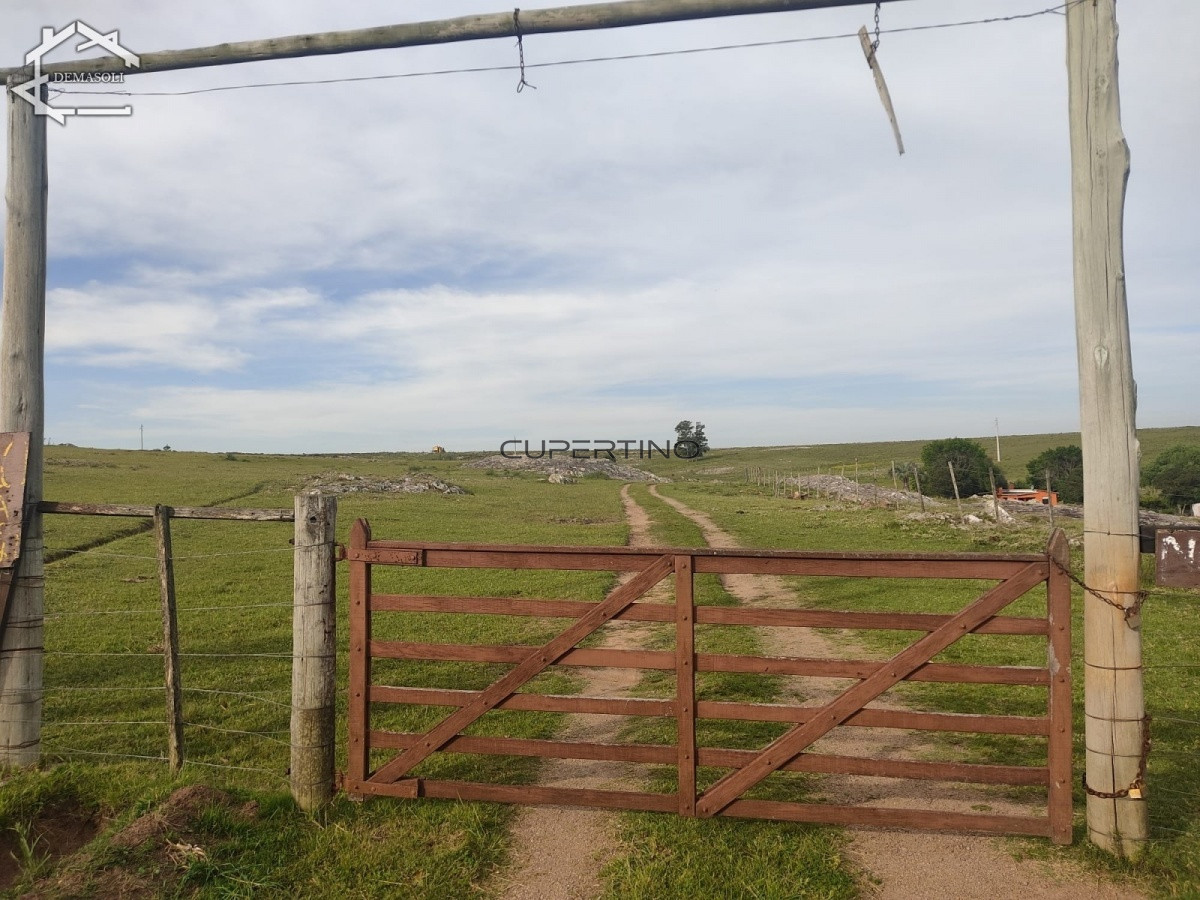 Chacra ID.298 - 11 has 8000 M2 con casa proximidades Pan de Azúcar