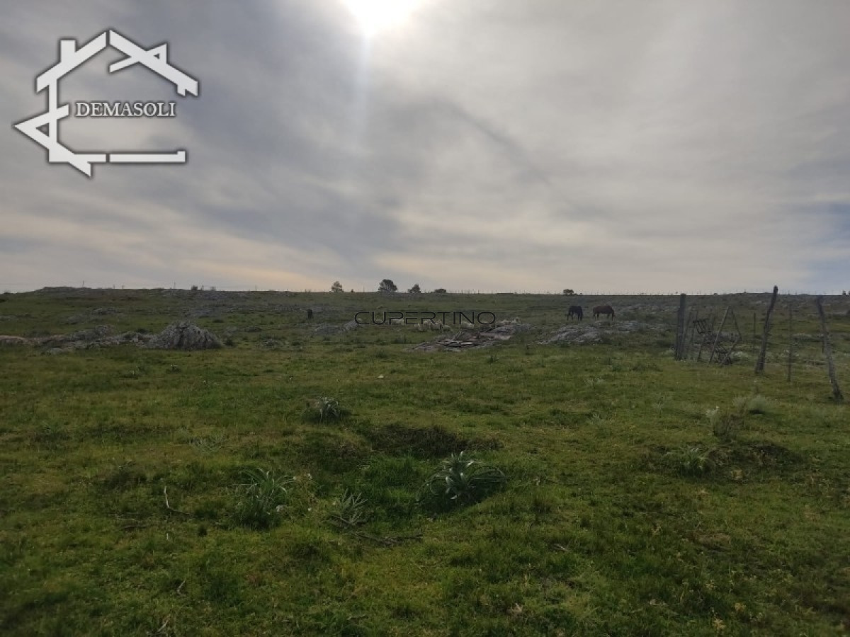 Chacra ID.298 - 11 has 8000 M2 con casa proximidades Pan de Azúcar