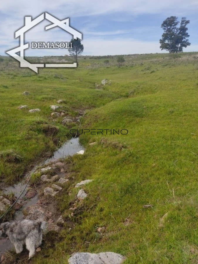 Chacra ID.298 - 11 has 8000 M2 con casa proximidades Pan de Azúcar