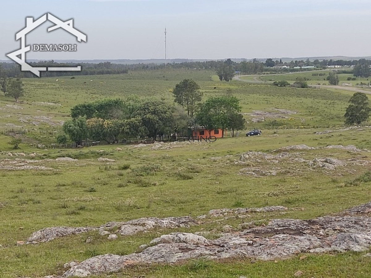 Chacra ID.298 - 11 has 8000 M2 con casa proximidades Pan de Azúcar