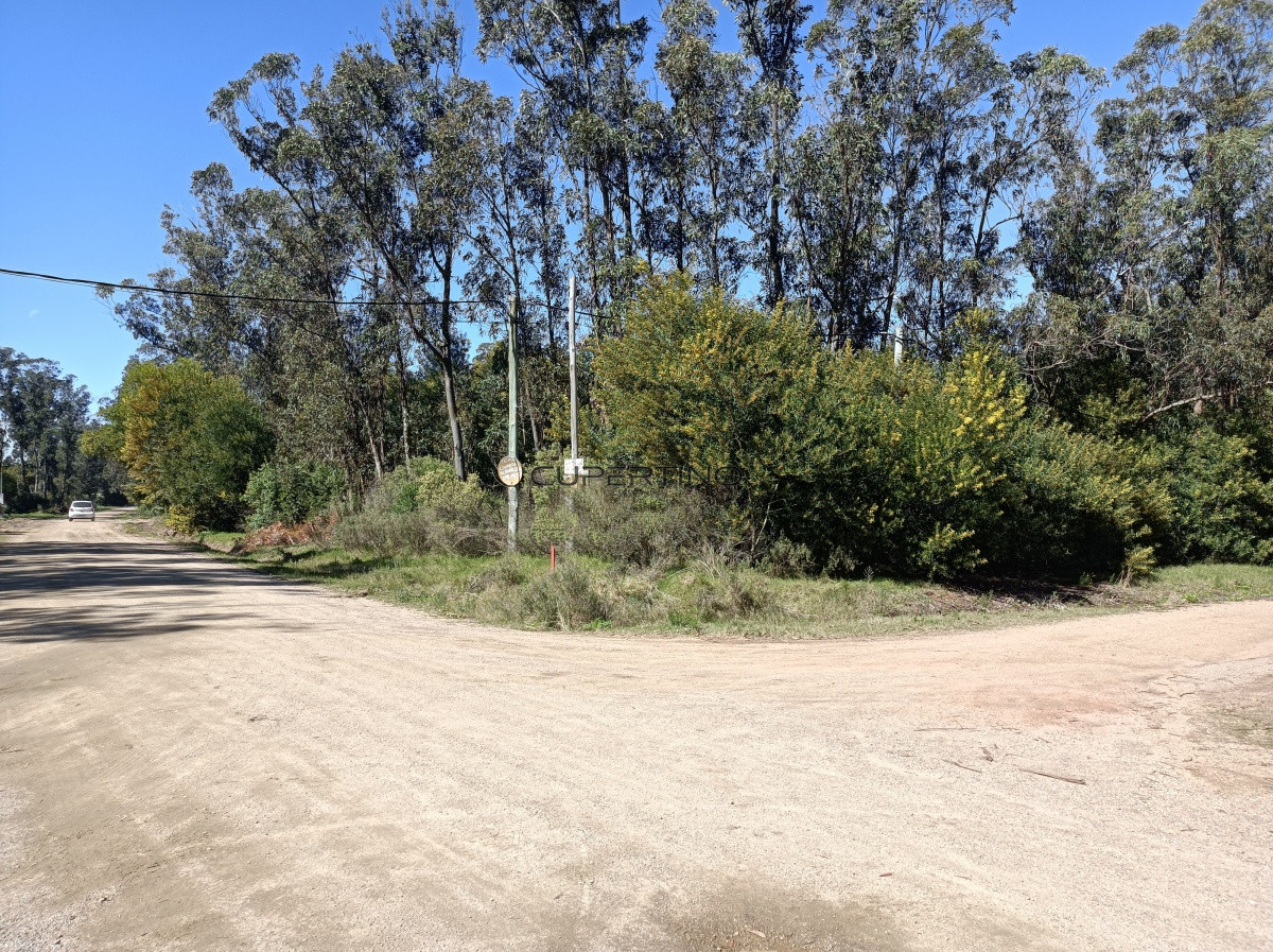 Terreno en Piriápolis, Bella Vista — foto 1