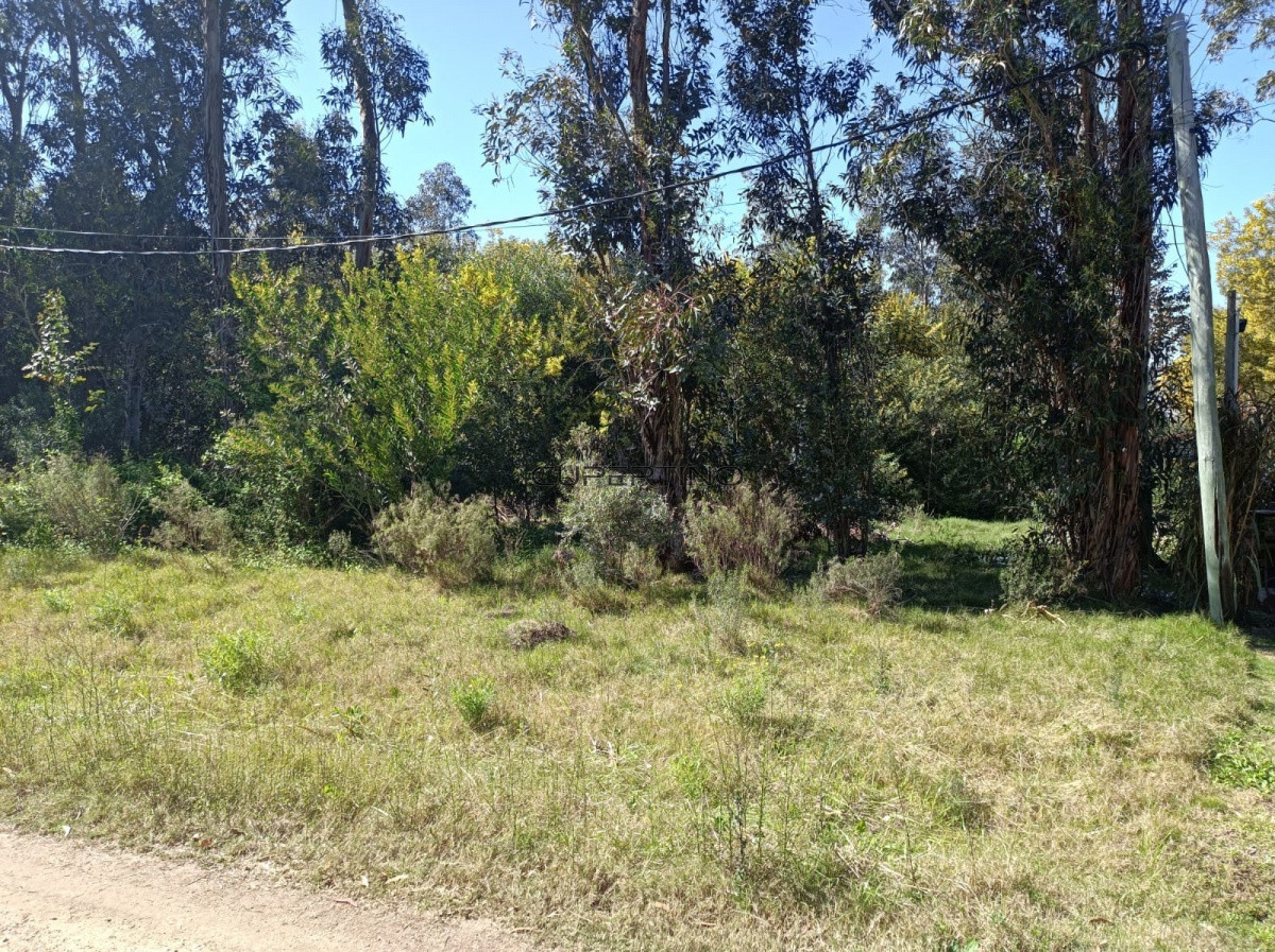 Terreno en Piriápolis, Bella Vista — foto 8