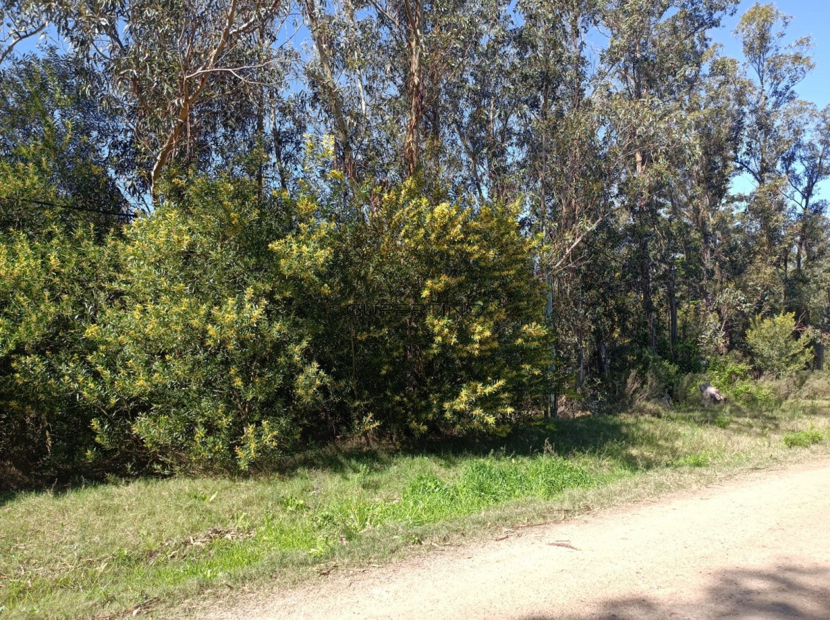 Terreno en Piriápolis, Bella Vista — foto 3