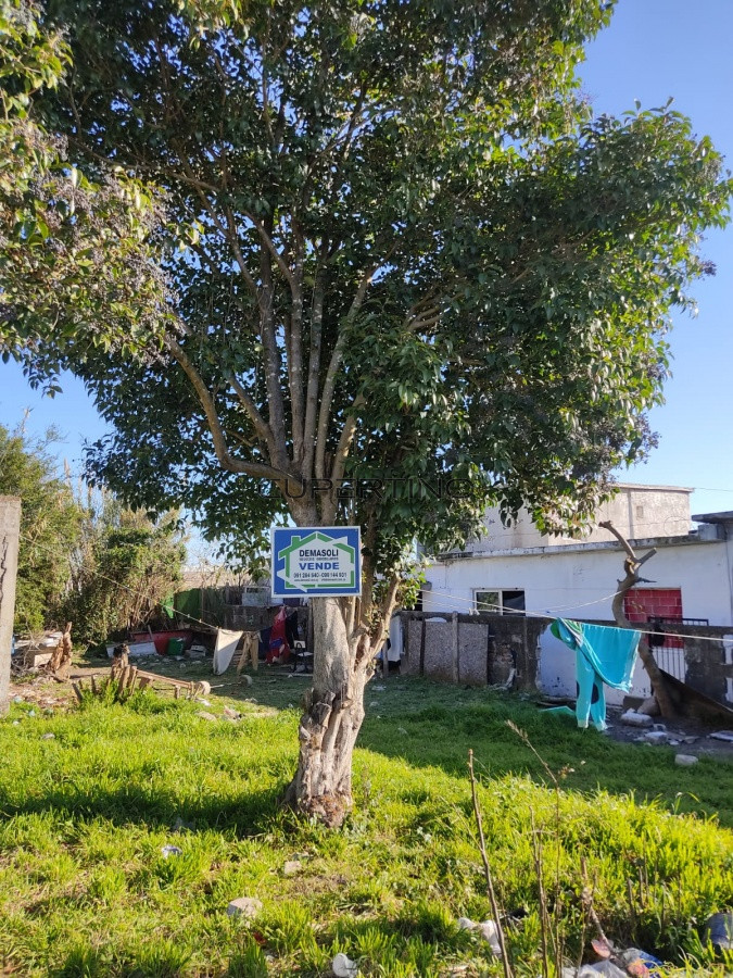 Terreno San Carlos, excelente ubicación — foto 1