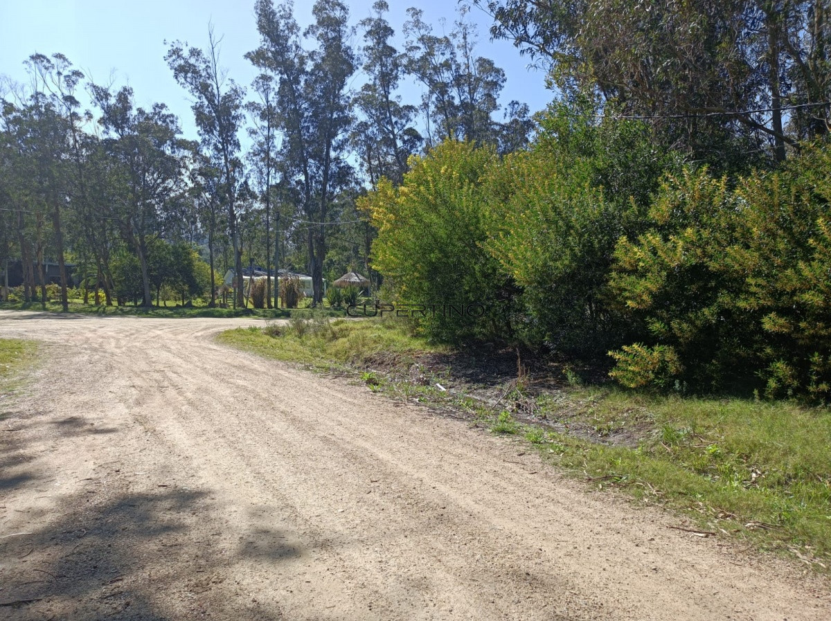Terreno en Piriápolis, Bella Vista — foto 10