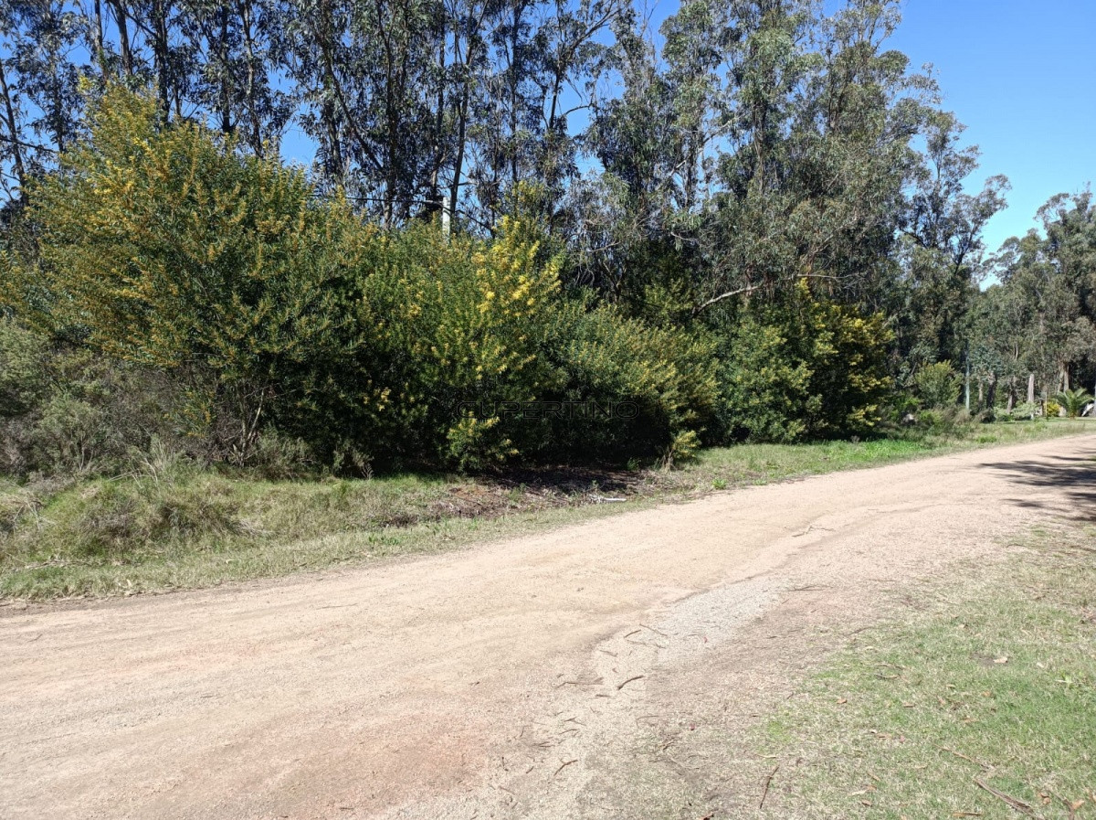 Terreno en Piriápolis, Bella Vista — foto 4