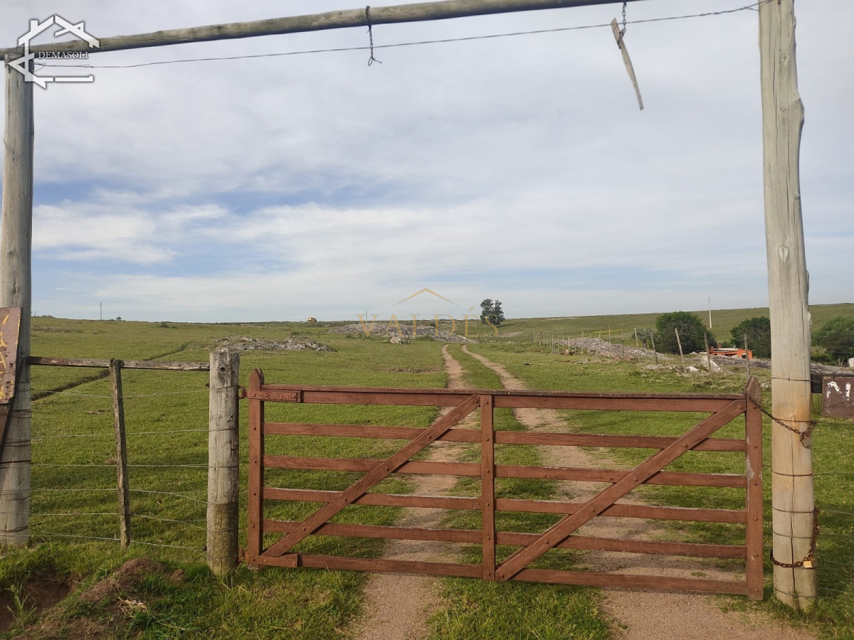Chacra ID.1681 - Se vende chacra 11 has 8000 m2, con casa.