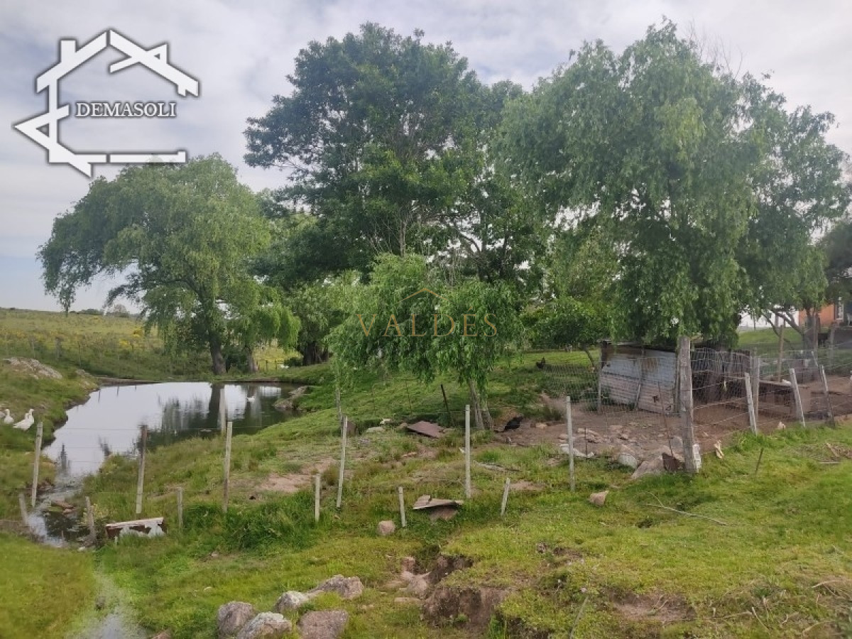 Chacra ID.1681 - Se vende chacra 11 has 8000 m2, con casa.