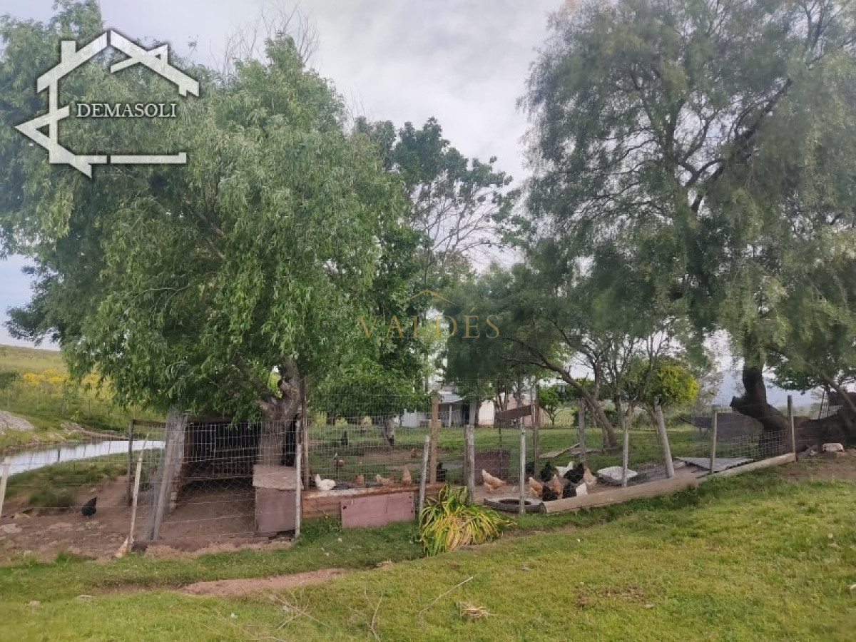 Chacra ID.1681 - Se vende chacra 11 has 8000 m2, con casa.