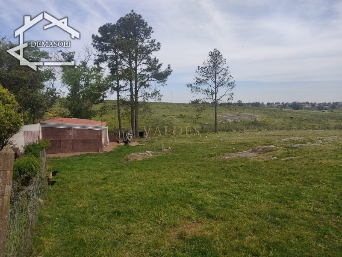 Chacra ID.1681 - Se vende chacra 11 has 8000 m2, con casa.