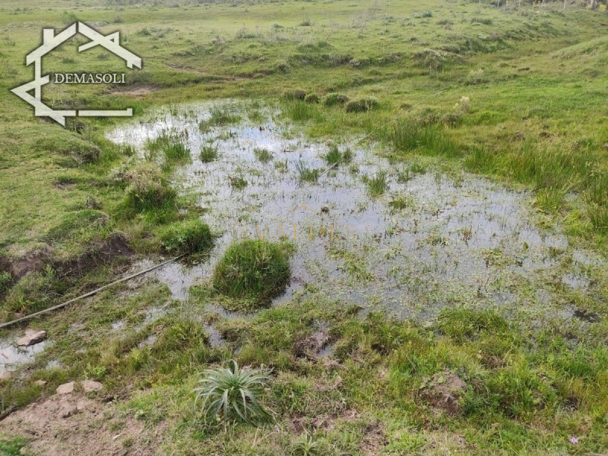 Chacra ID.1681 - Se vende chacra 11 has 8000 m2, con casa.
